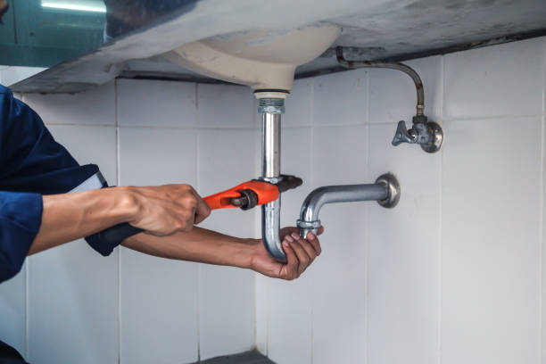Best Commercial Plumbing Services  in Superior, CO